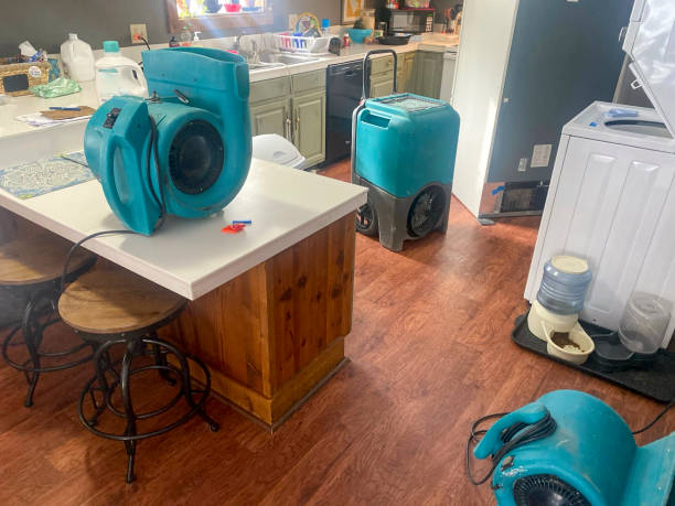 Best 24-hour water damage restoration  in Meiners Oaks, CA