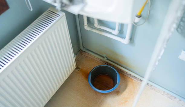 Best Water damage cleanup near me  in Meiners Oaks, CA