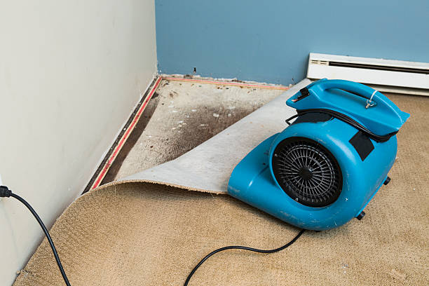 Best Basement water damage restoration  in Meiners Oaks, CA